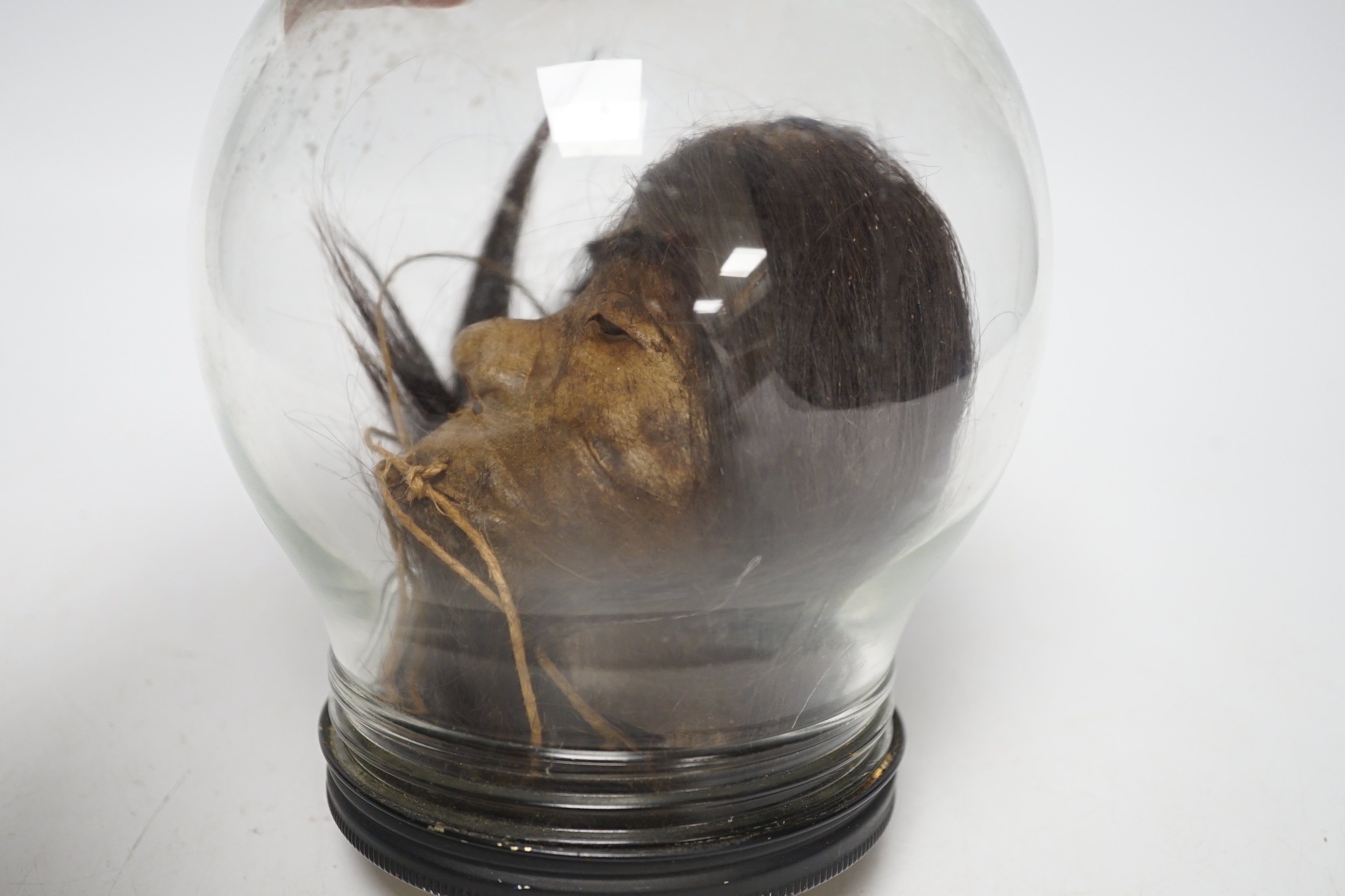 A copy of a shrunken head, in animal hide, mounted inside a glass dome on turned base, 18cm high